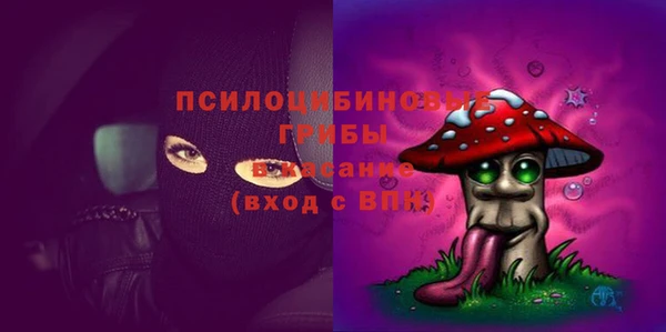винт Армянск