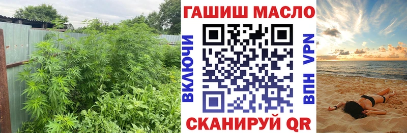 ТГК концентрат  Купить  Людиново 