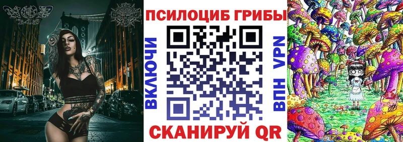 Псилоцибиновые грибы Psilocybe  Купить где  Людиново 